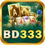 BD333 Game